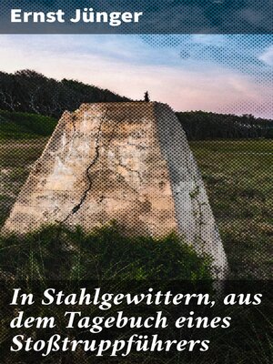 cover image of In Stahlgewittern, aus dem Tagebuch eines Stoßtruppführers